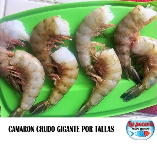 Camarón Crudo Gigante
