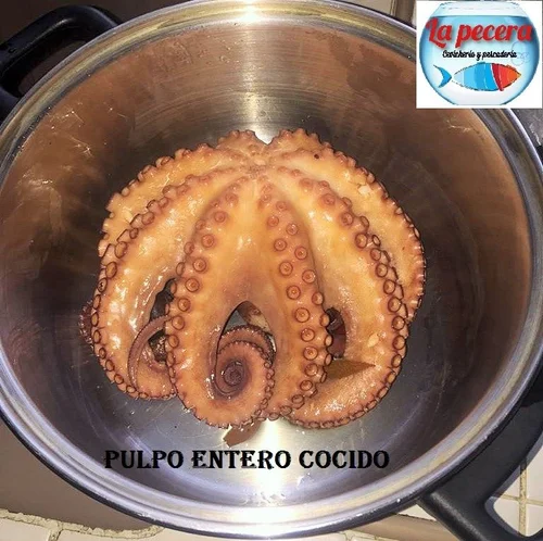 Pulpo Cocido Entero